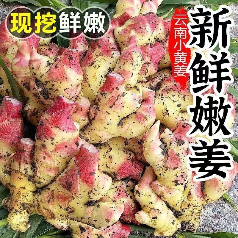 淘宝秒杀：【5斤】正宗云南小黄姜嫩姜 福利价仅10.9元秒杀！