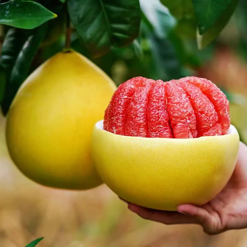 淘宝秒杀：下拉+礼金10.7！福建平和红心柚子蜜柚5斤 福利价仅10.7元秒杀！