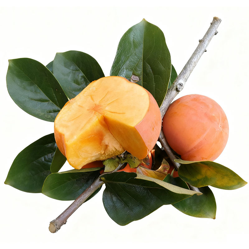 双11现货：【签到+淘