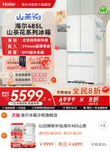 海尔485山茶花法式双开薄零嵌入式冰箱100元优惠券