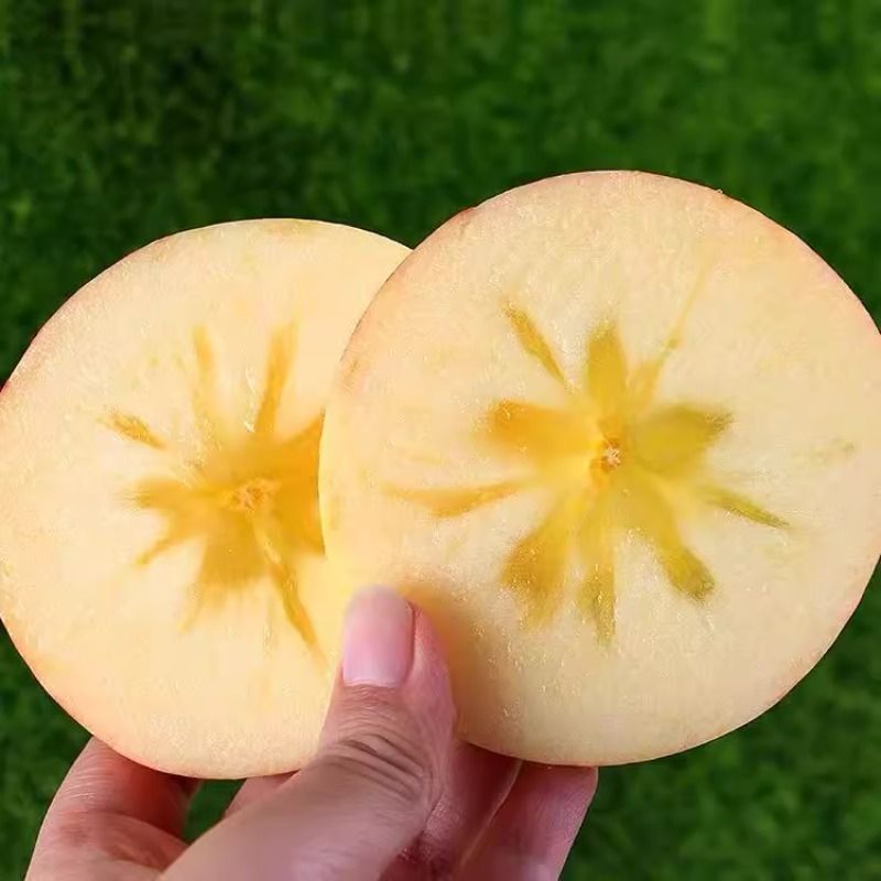 淘金币活动：【超低价】现摘山西红富士苹果5斤 福利价仅14元秒杀