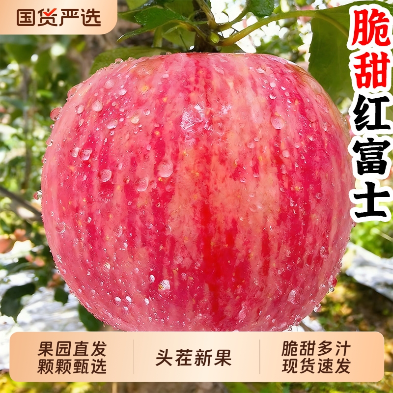  超级88：礼金+金币13!单果70mm，脆甜红富士苹果5斤 福利价仅13元秒杀！